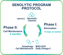 Load image into Gallery viewer, Healthy Aging Program