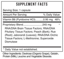 Load image into Gallery viewer, Gb Pituitary/Pineal